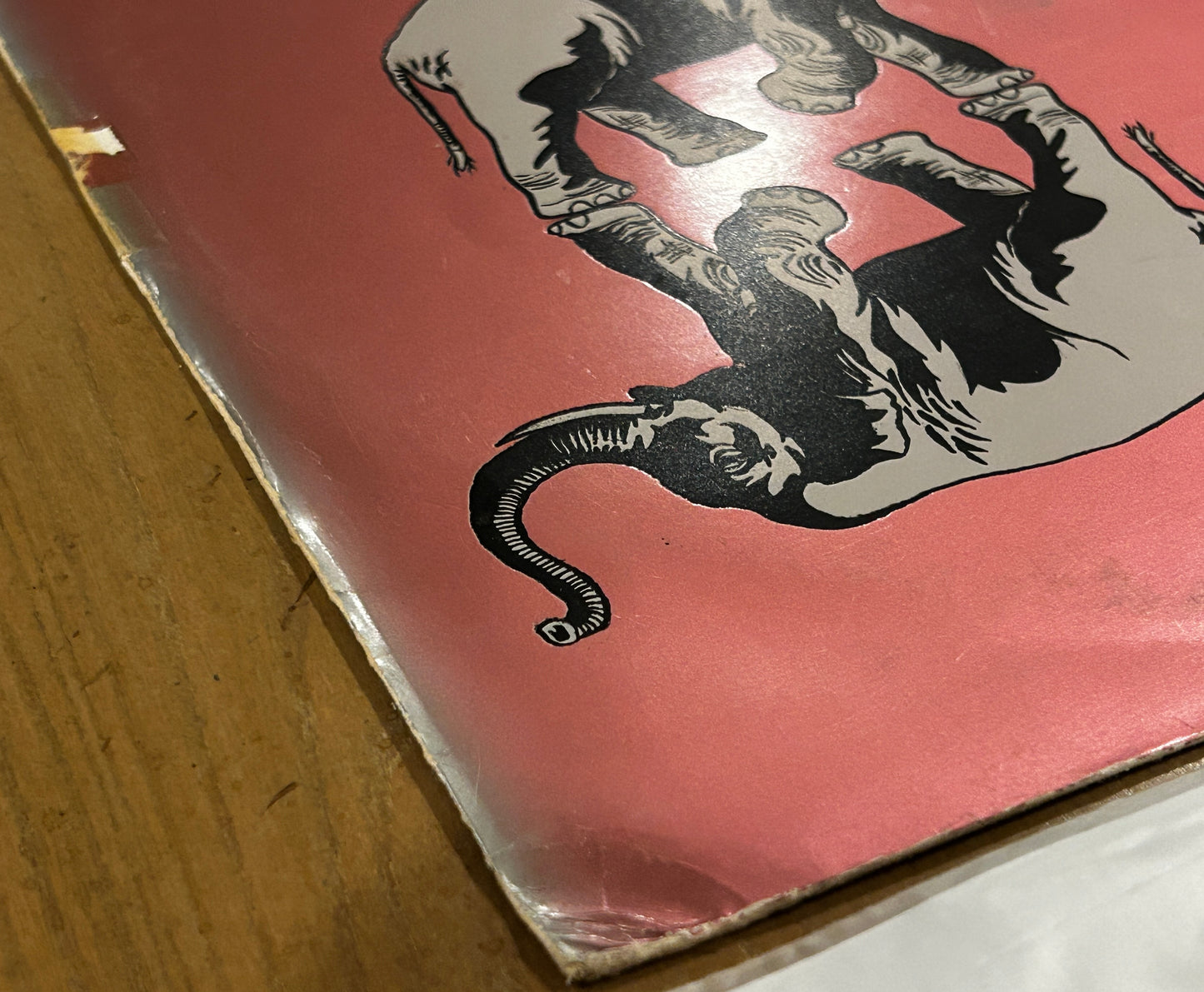 Santana - Live In Rotterdam