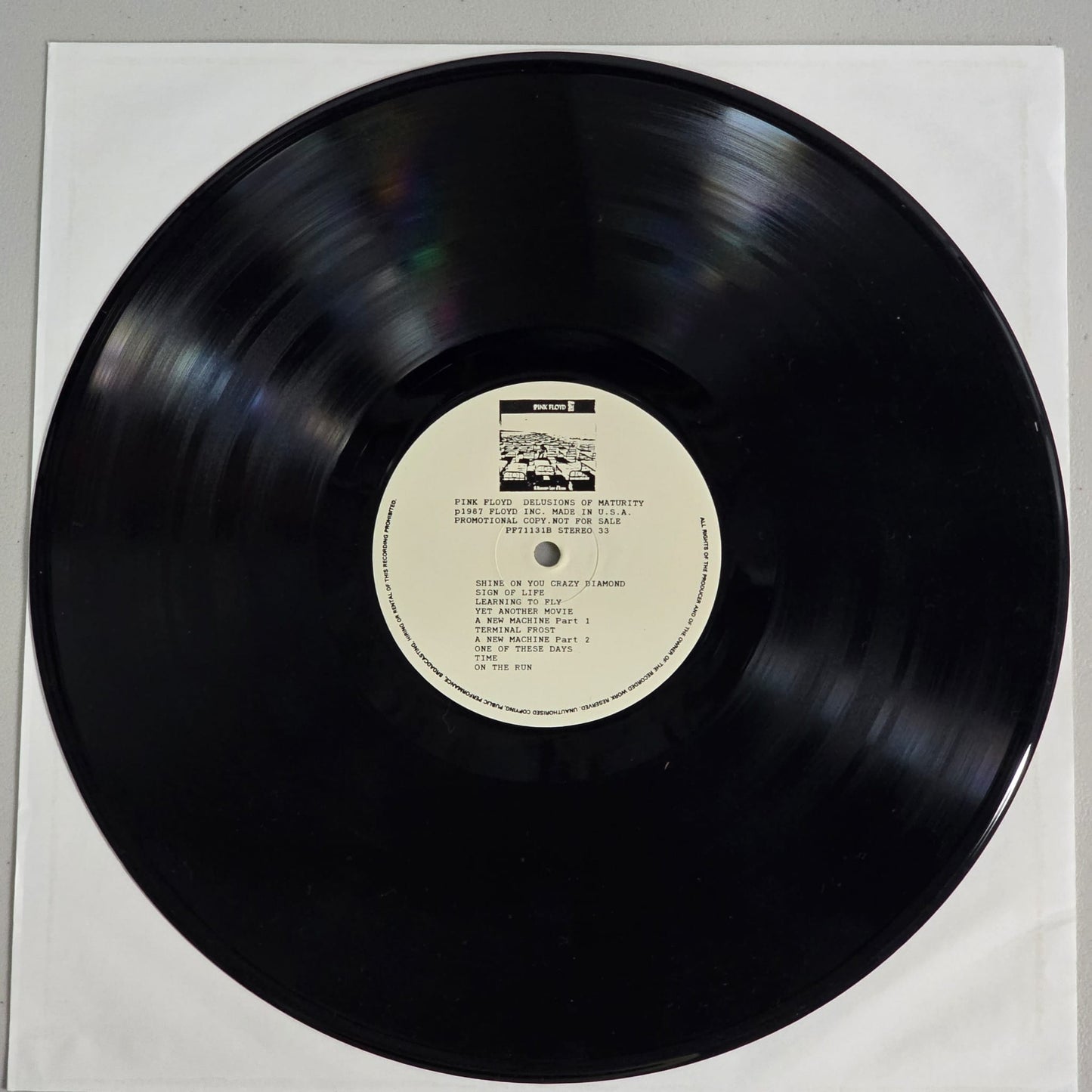 Pink Floyd - Delusions of Maturity