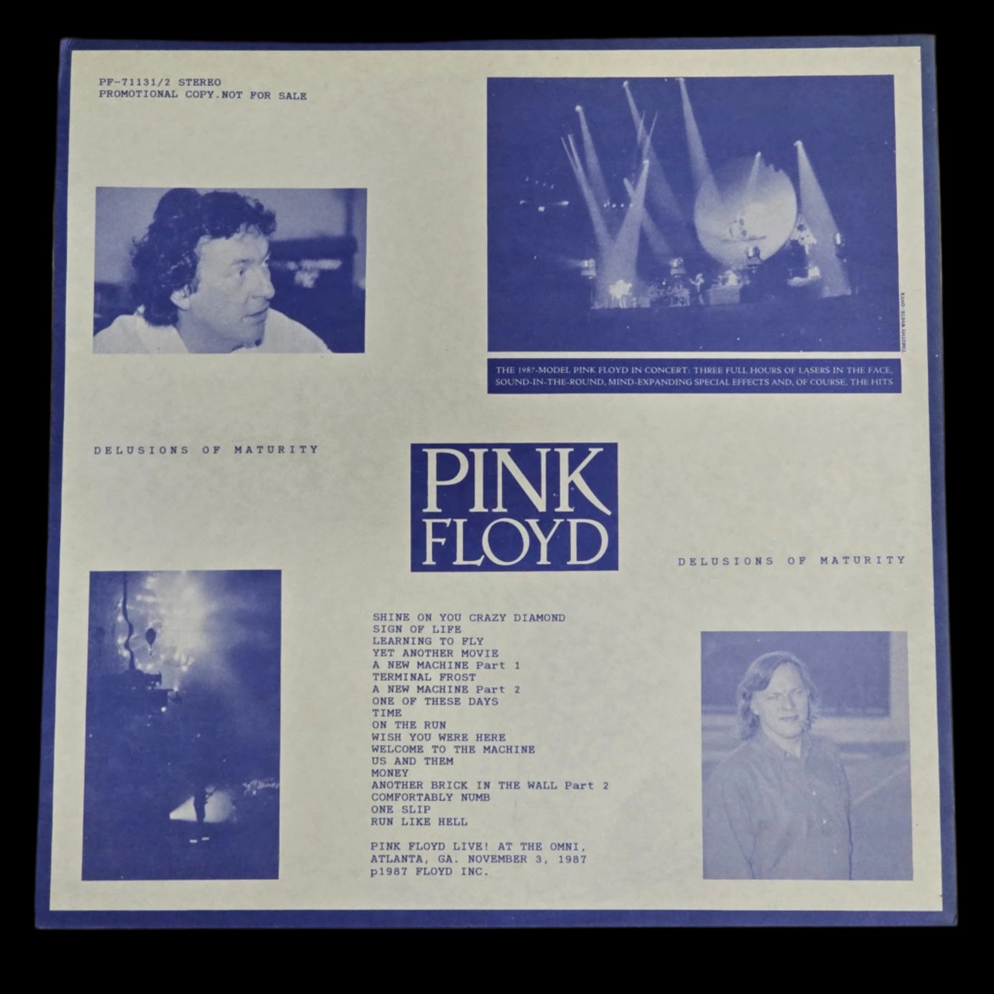 Pink Floyd - Delusions of Maturity