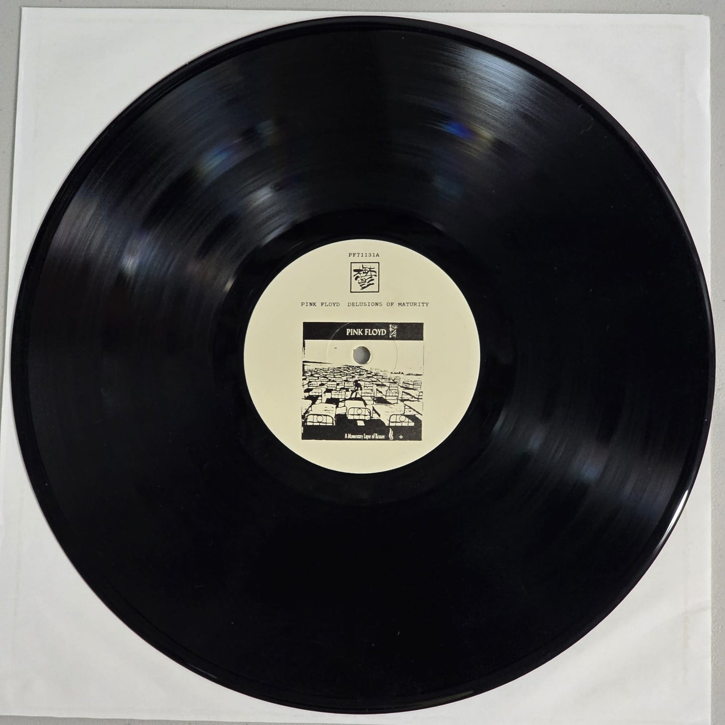 Pink Floyd - Delusions of Maturity