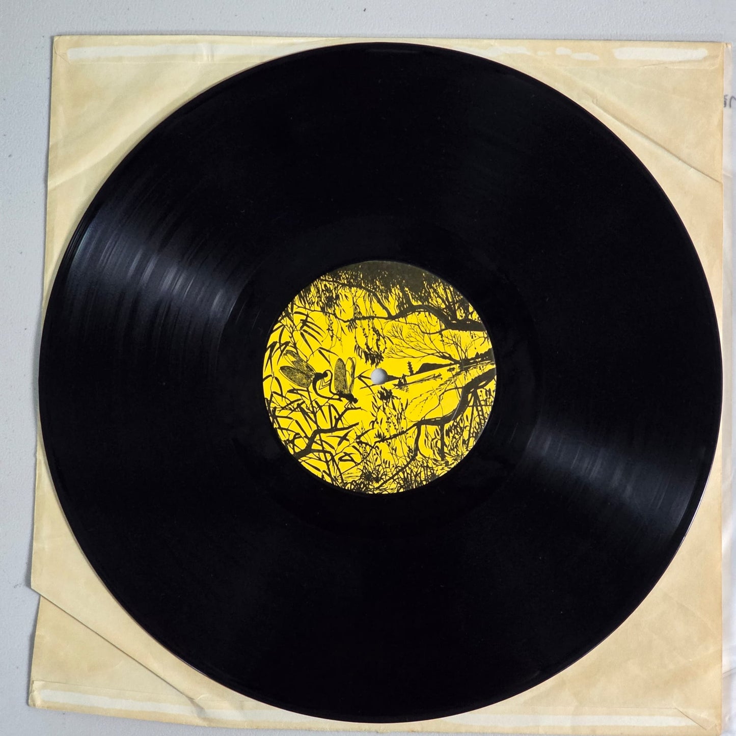 Queen - Duck Soup (Live In Seattle)