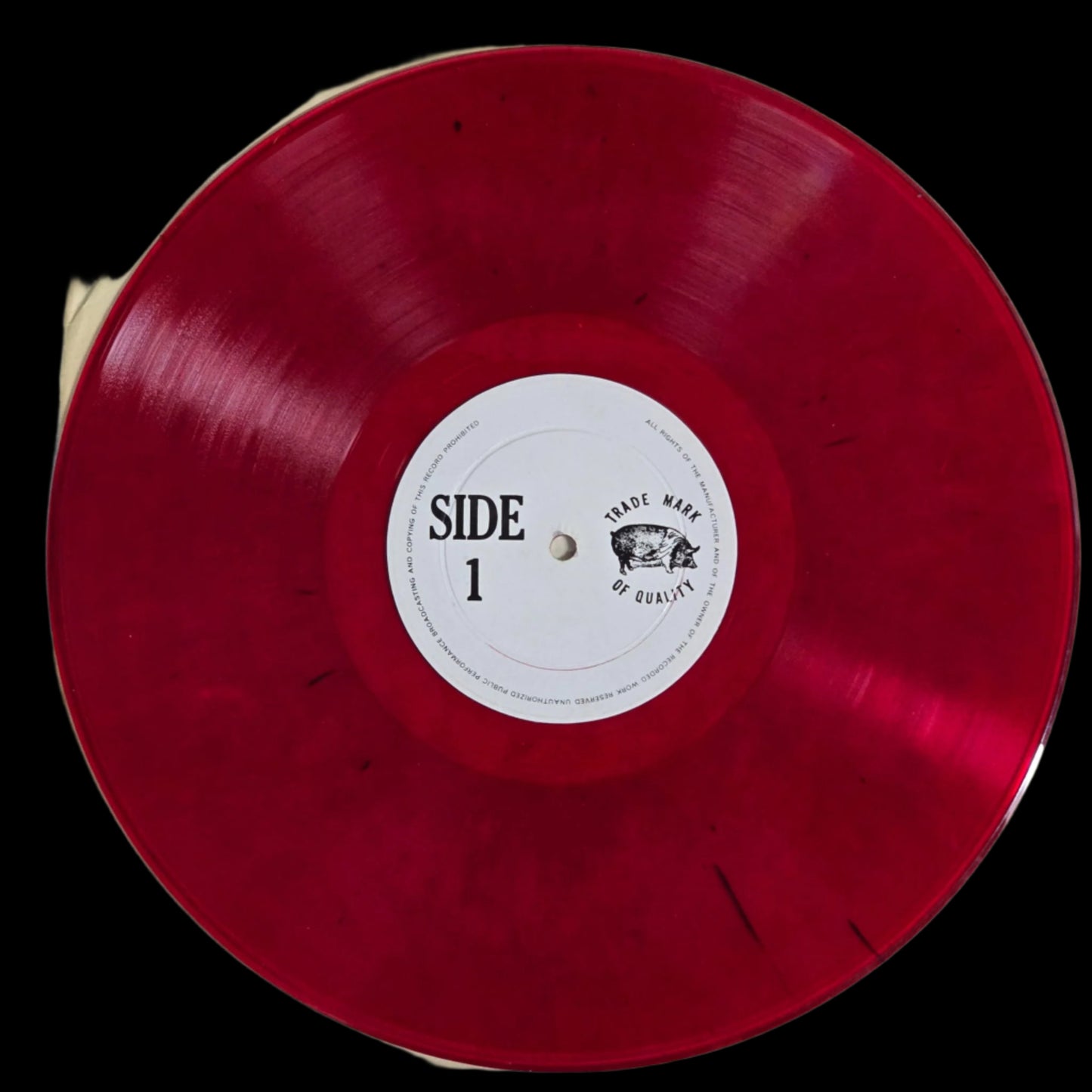 Grateful Dead - Hollywood Palladium 1 - Red