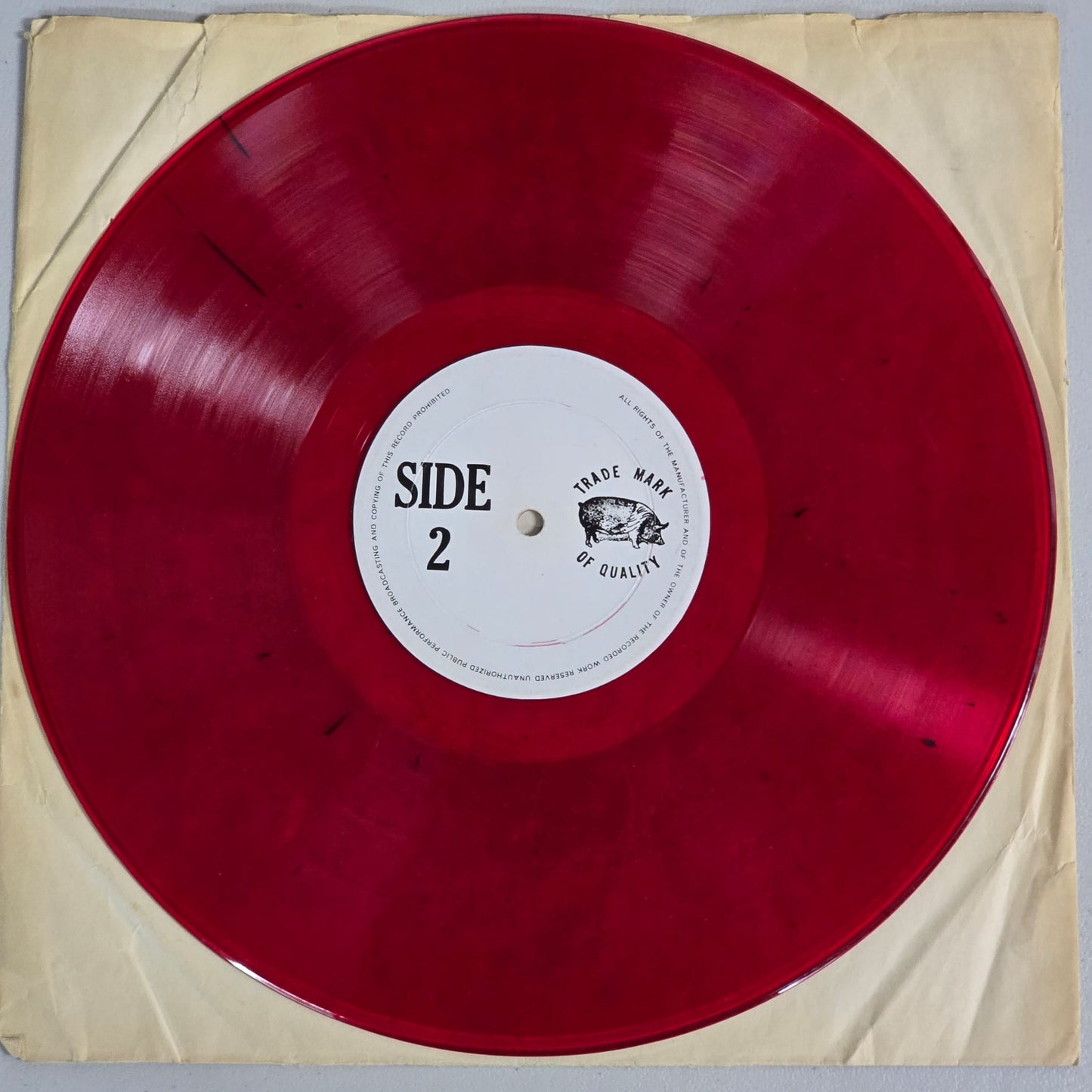 Grateful Dead - Hollywood Palladium 1 - Red