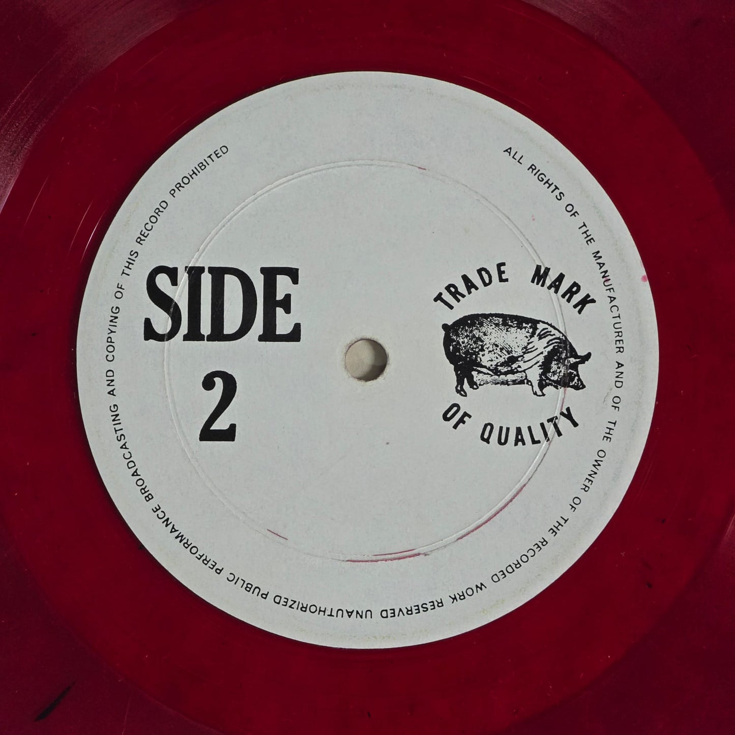 Grateful Dead - Hollywood Palladium 1 - Red