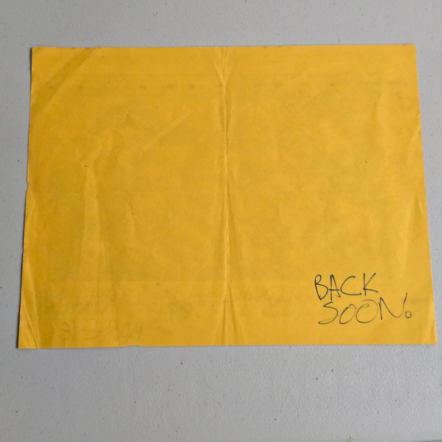 Grateful Dead - San Francisco 1 - TMOQ Green