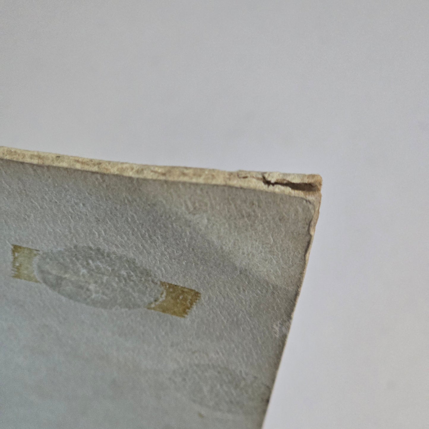 Grateful Dead - San Francisco 1 - TMOQ Green