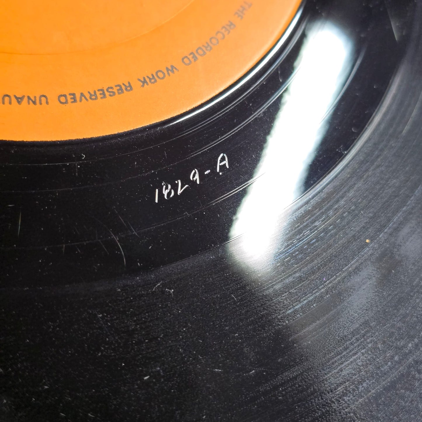 Grateful Dead - San Francisco 1