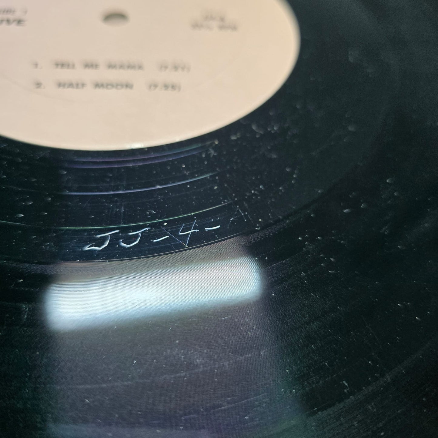 Janis Joplin - Get It While You Can - 2LP