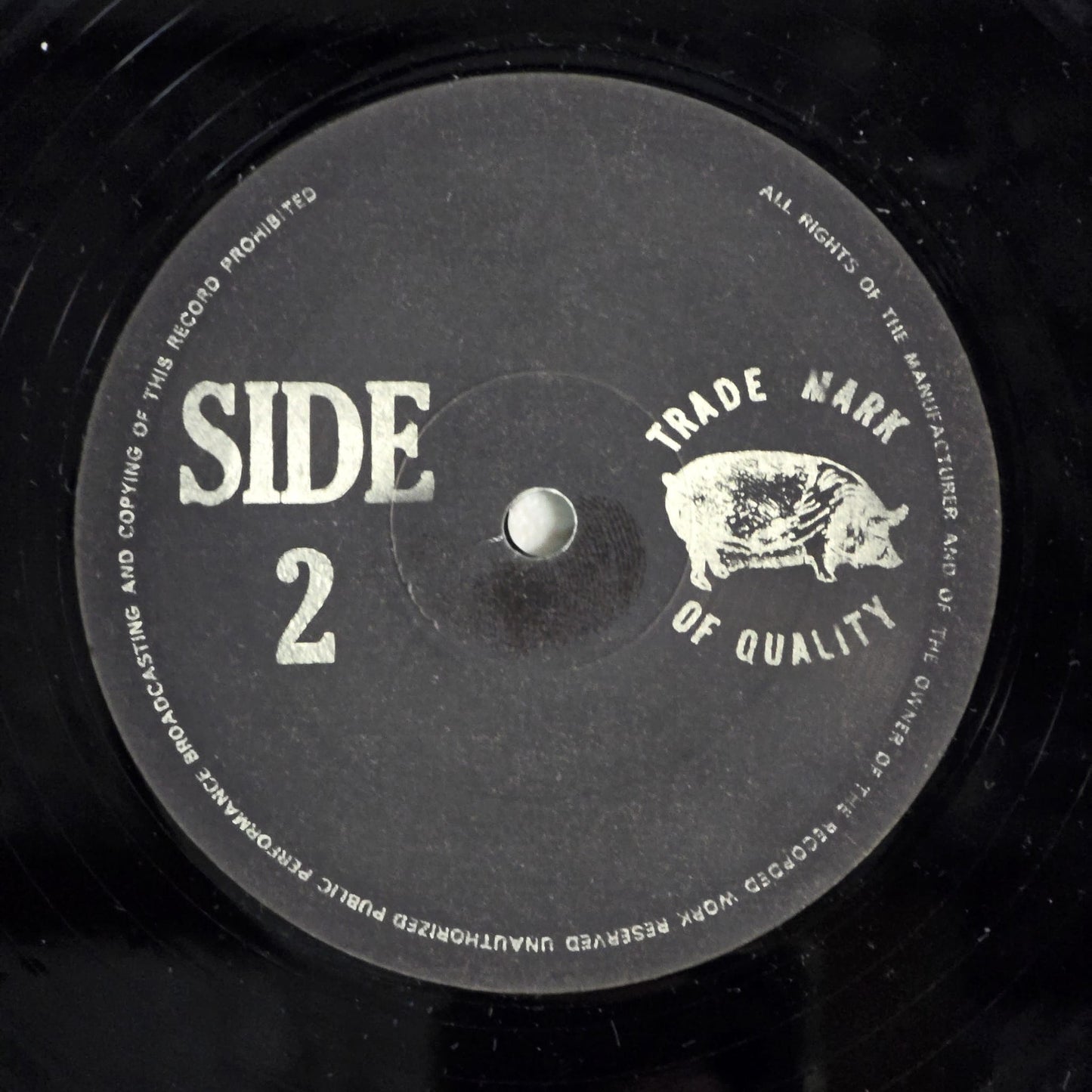 Led Zeppelin - Going To California - Multicolor