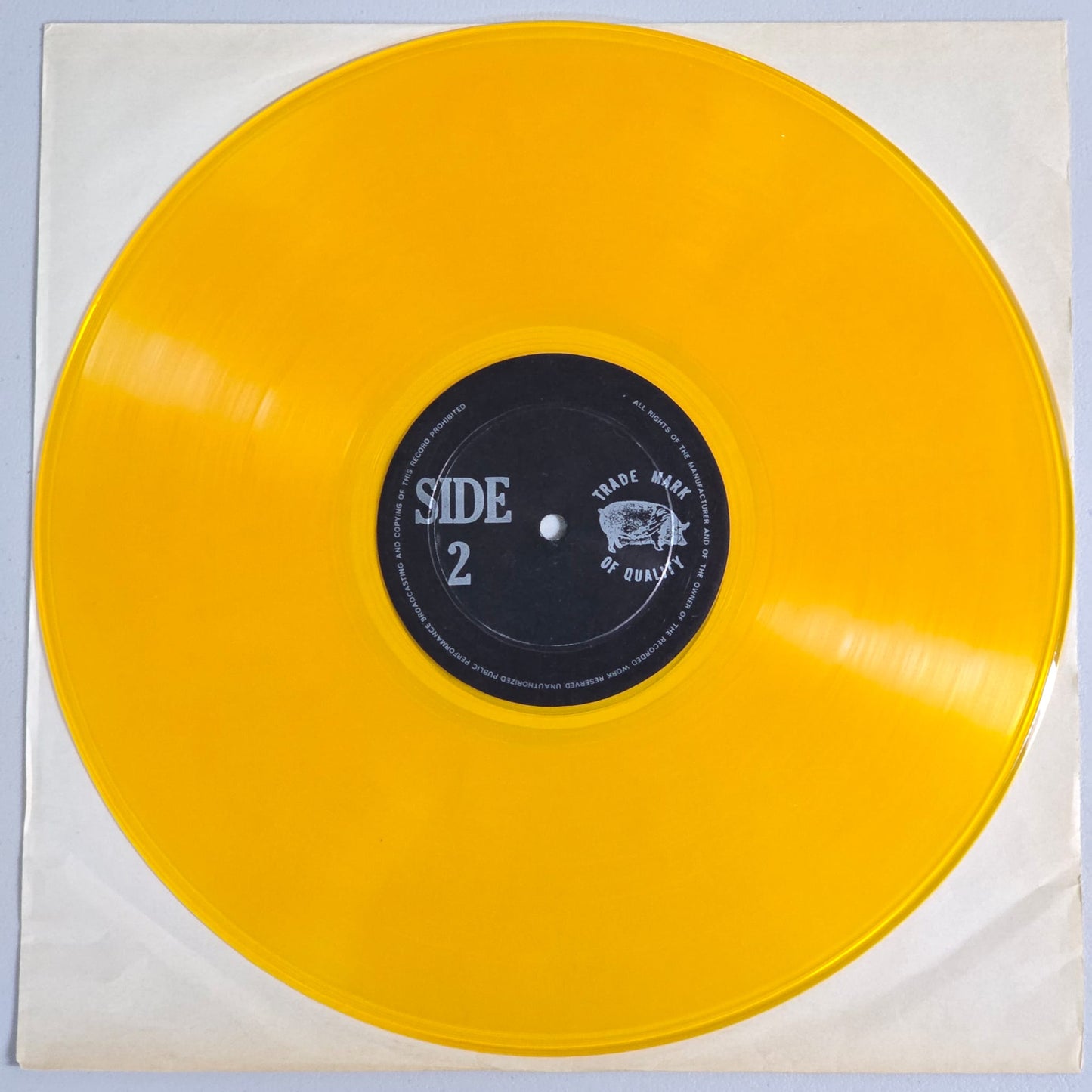 Bob Dylan - GWW Royal Albert Hall - TMOQ Yellow