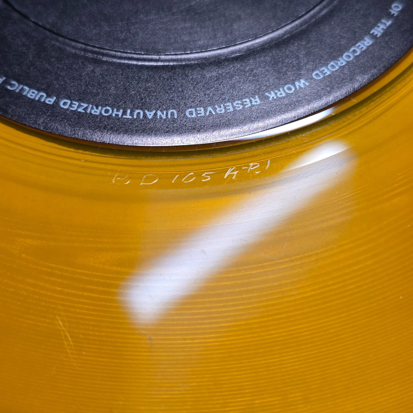 Bob Dylan - GWW Royal Albert Hall - TMOQ Yellow