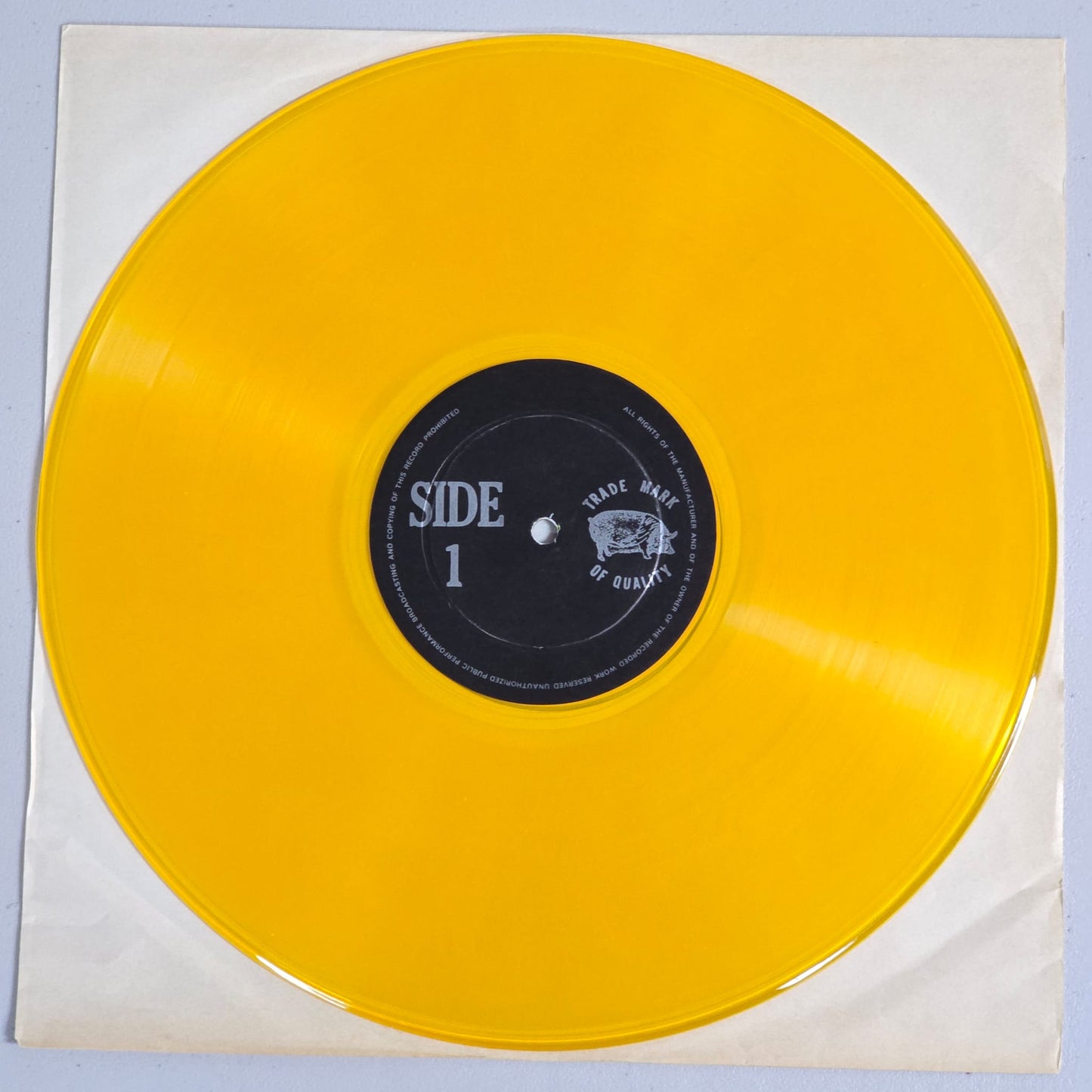 Bob Dylan - GWW Royal Albert Hall - TMOQ Yellow