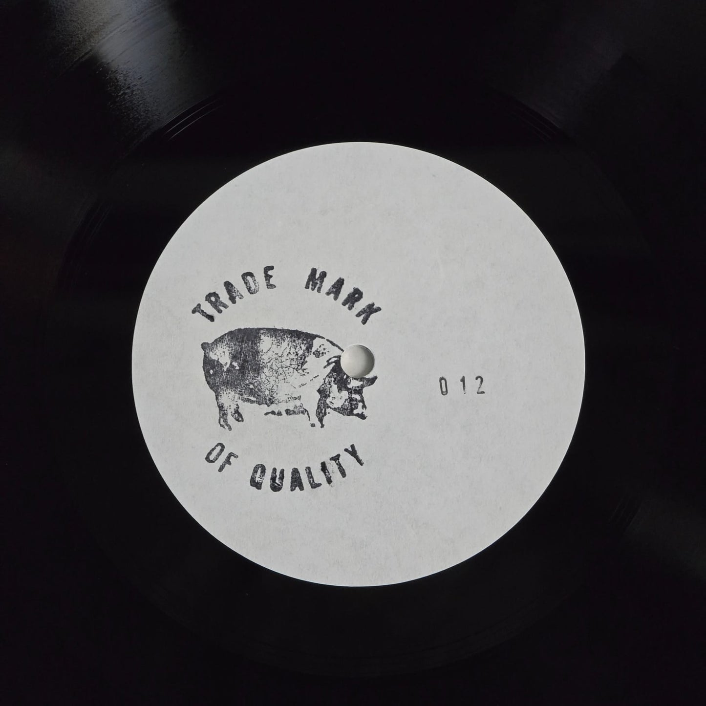 Pink Floyd - M-504 - TMOQ Japan Acetate