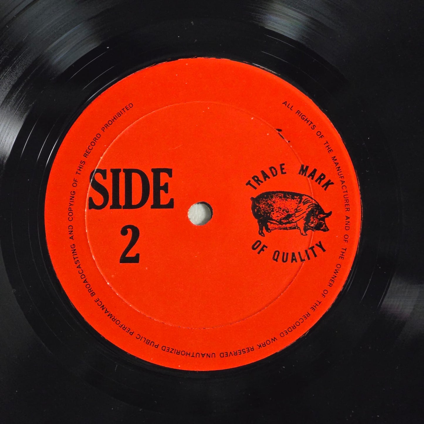 Pink Floyd - Nippon Connection