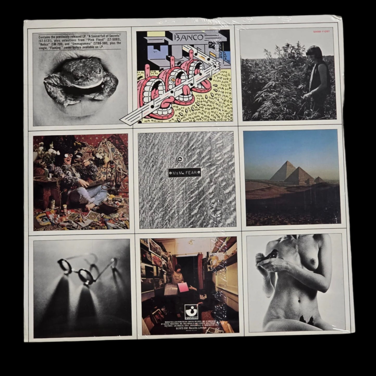 Pink Floyd - A Nice Pair - Sealed - Censored Hype Sticker - 2LP