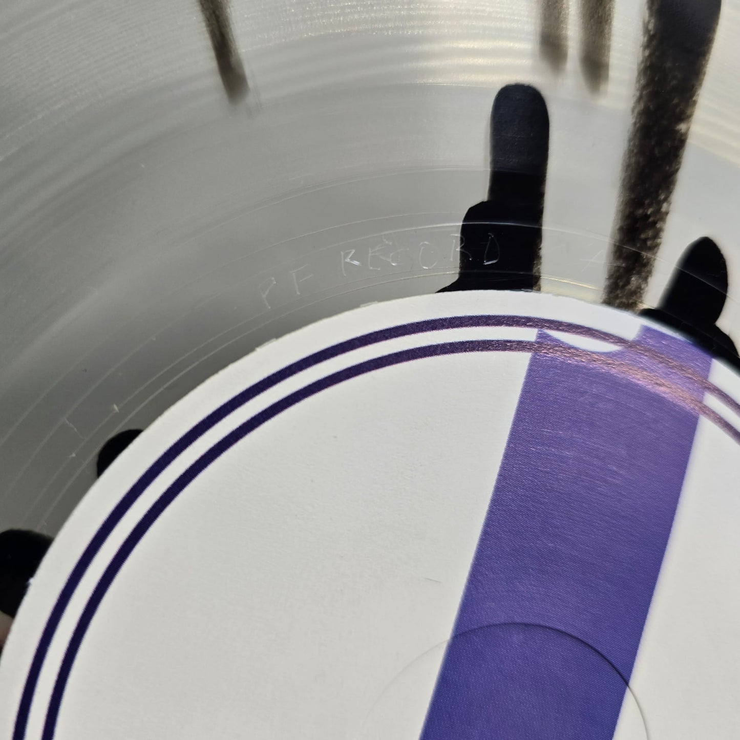 Pink Floyd - Embrwo - 2 LP - Clear Splatter