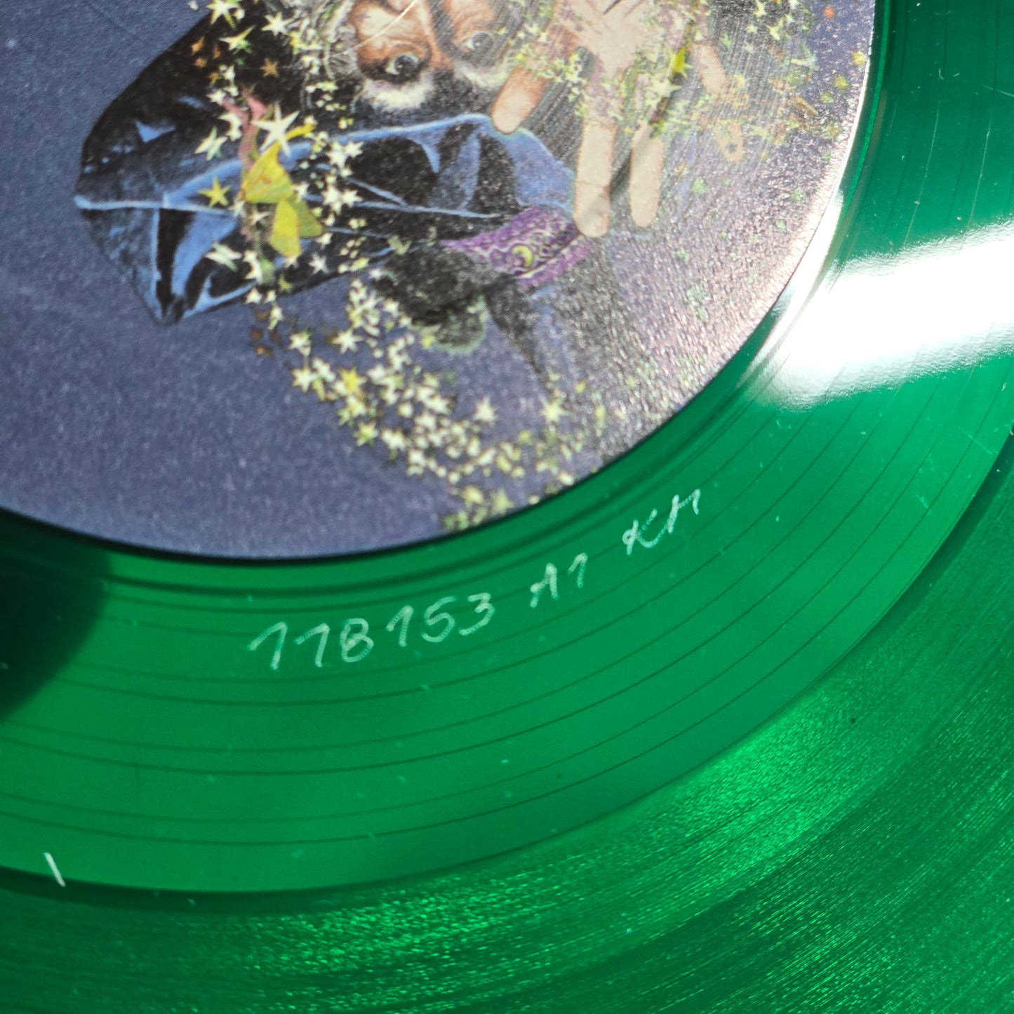 Pink Floyd - Have A Cigar In LA - 3 LP+2 CD - LA 1975