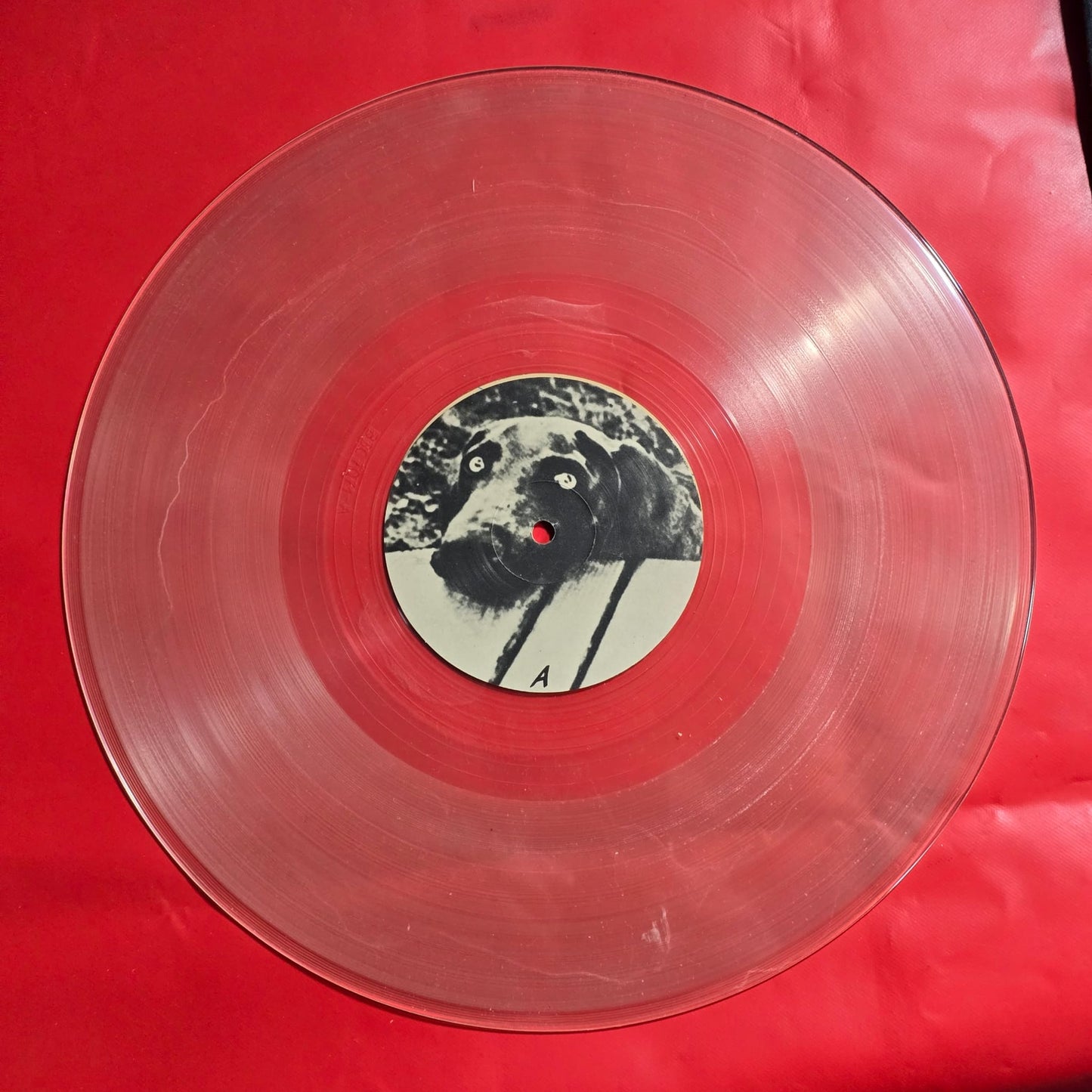 Pink Floyd - The BBC Tapes - 2LP - Clear