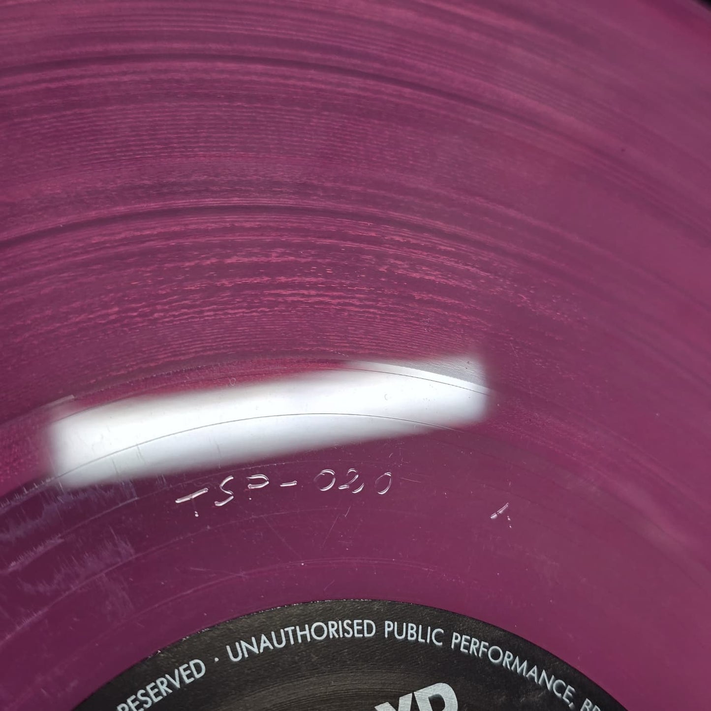 Pink Floyd - The Embryo - 1989 - The Swingin’ Pig TSP-020 - Translucent Pink - NM VG++