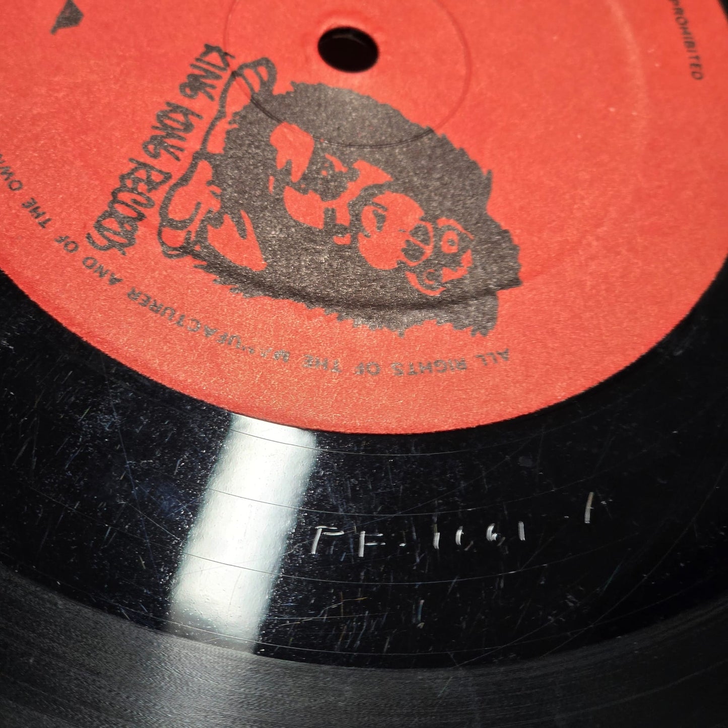 Pink Floyd - Tampa -  CBM