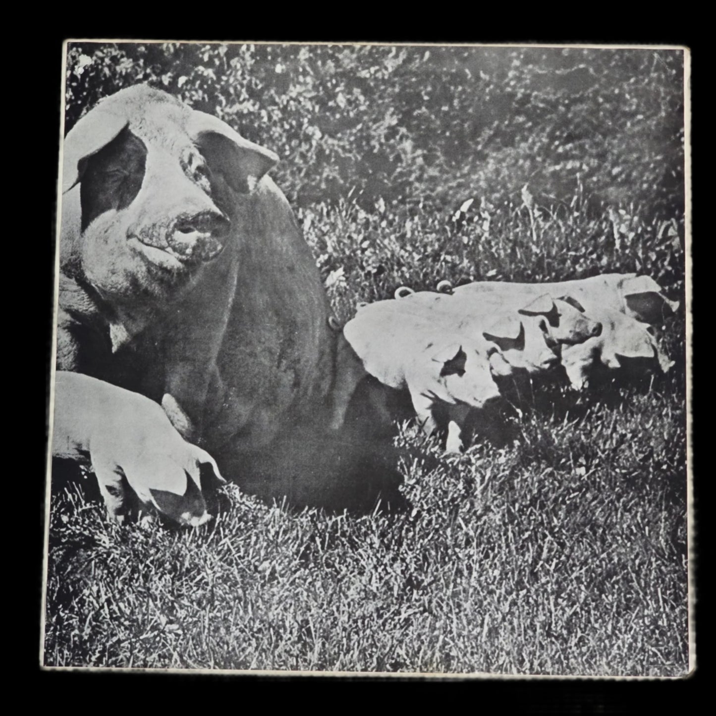 Pink Floyd - Best Of Tour 72/Tour 73 Japan OG Records