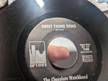 The Chocolate Watchband – Sweet Young Thing / Baby Blue – 1967 US Uptown – VG