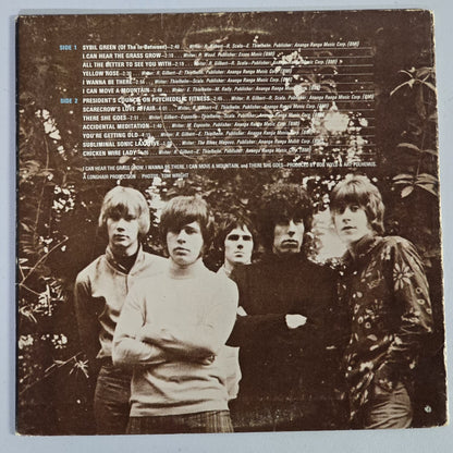 The Blues Magoos - Basic Blues Magoos - NYC Garage Psych