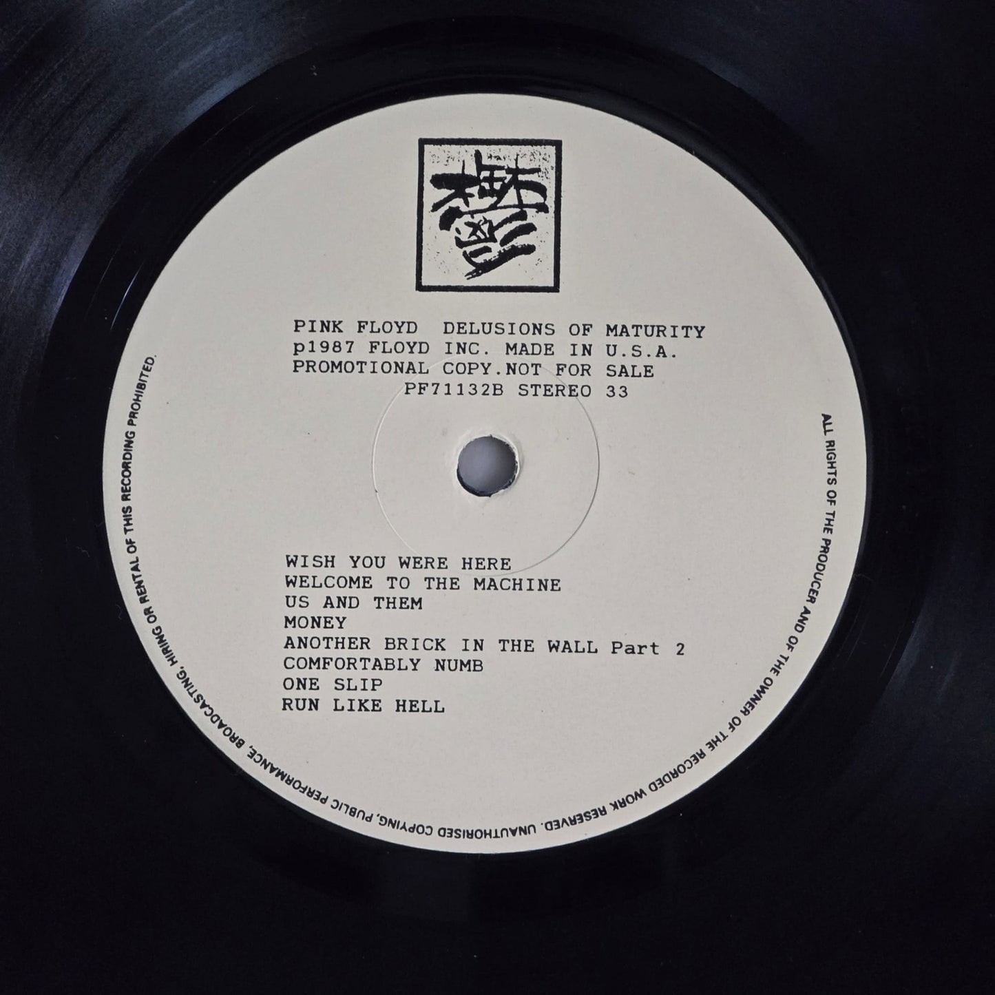 Pink Floyd - Delusions of Maturity