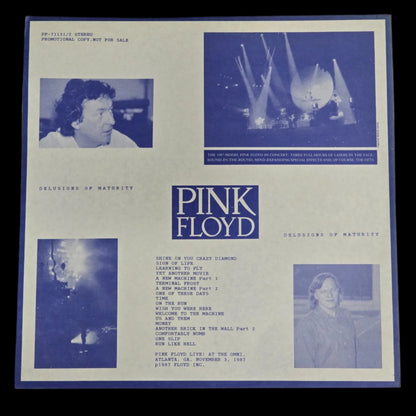 Pink Floyd - Delusions of Maturity