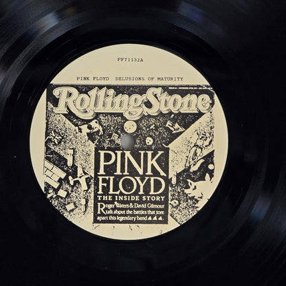 Pink Floyd - Delusions of Maturity