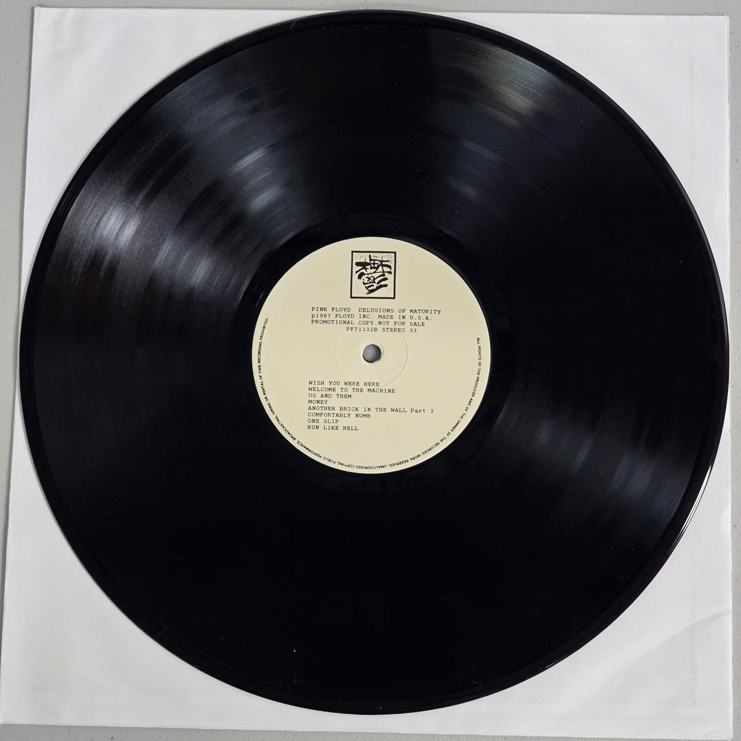 Pink Floyd - Delusions of Maturity