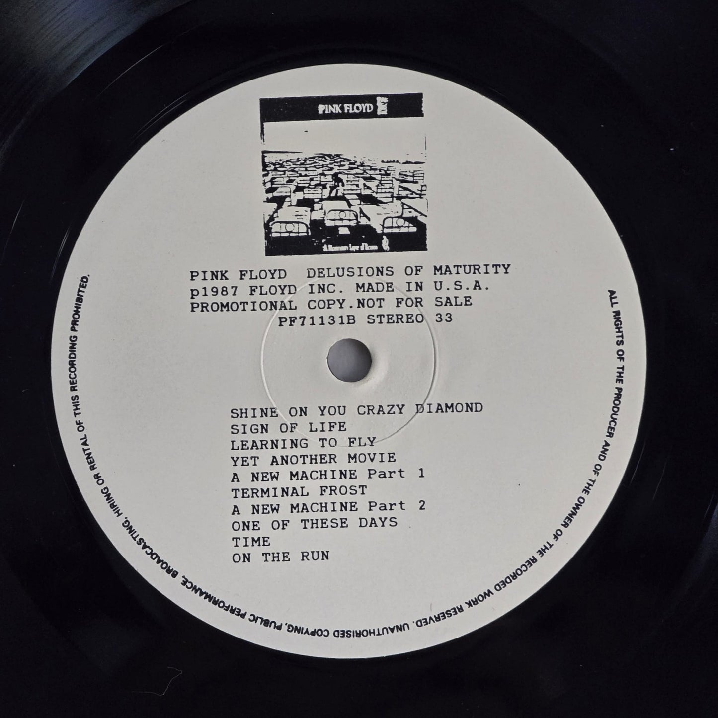 Pink Floyd - Delusions of Maturity