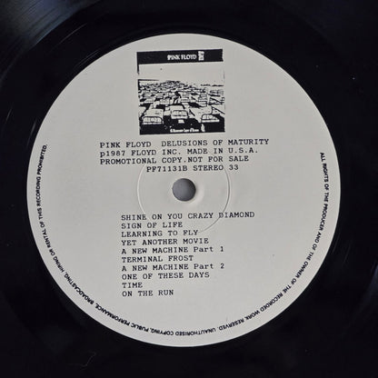 Pink Floyd - Delusions of Maturity