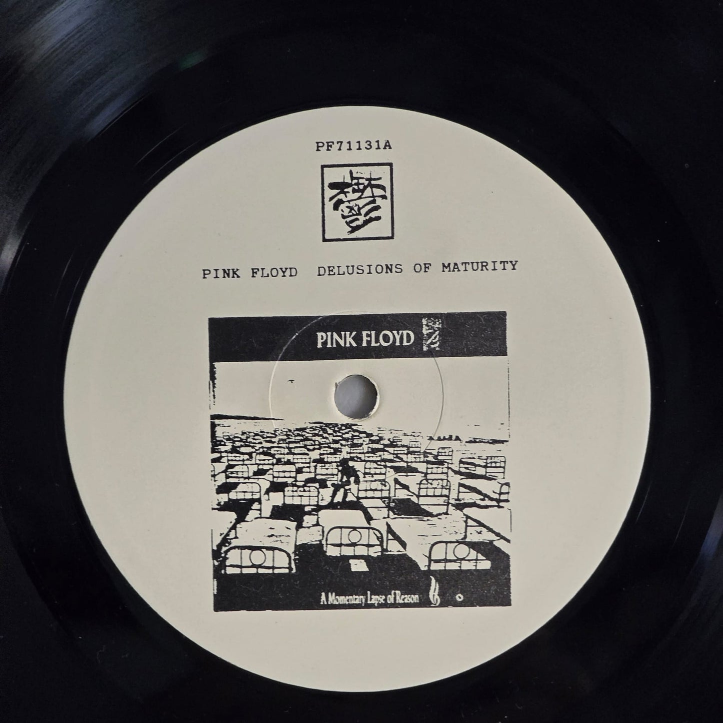 Pink Floyd - Delusions of Maturity