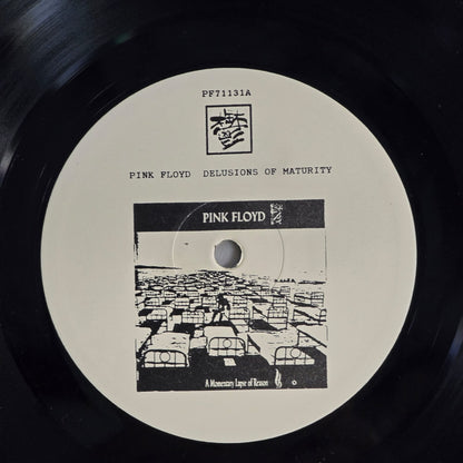 Pink Floyd - Delusions of Maturity