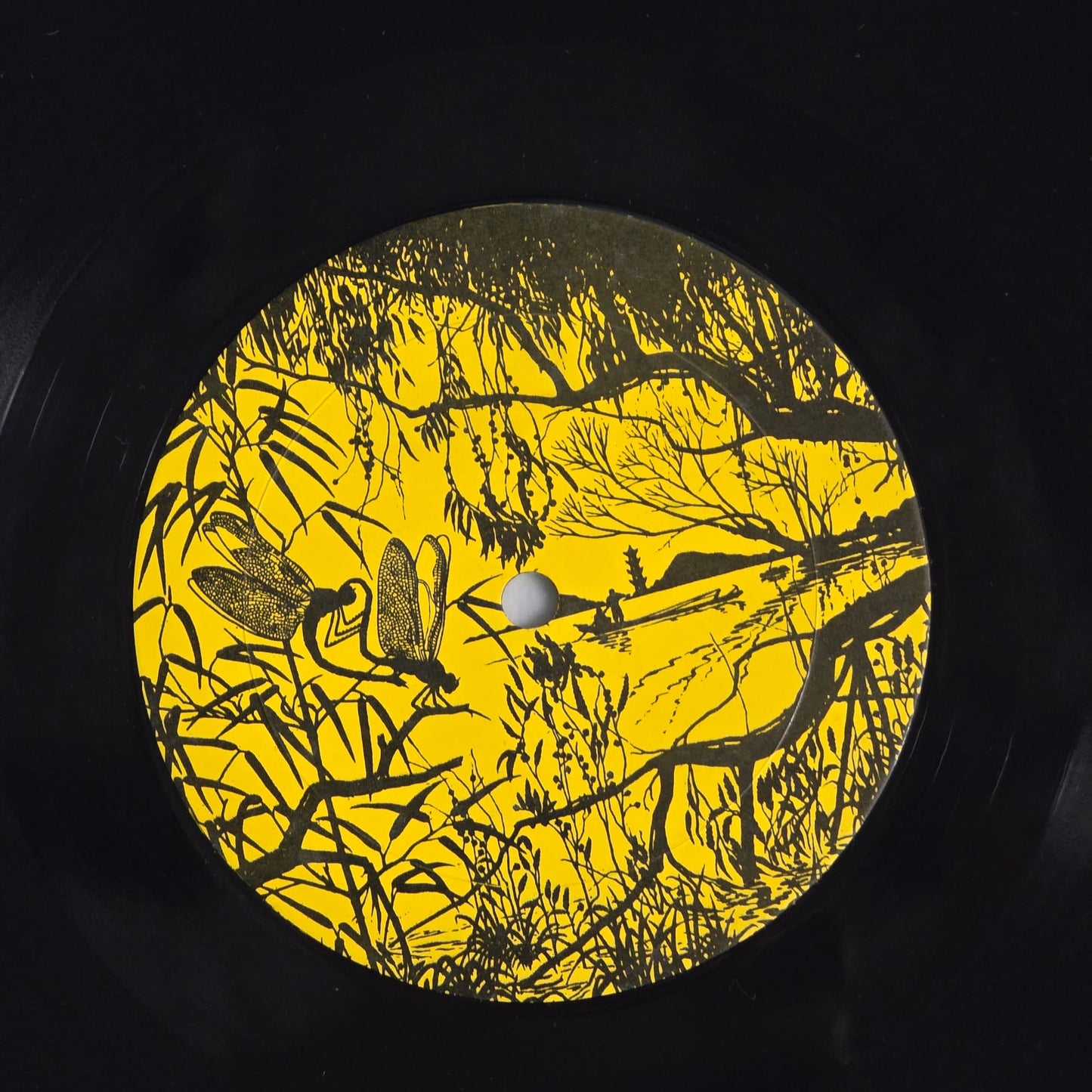 Queen - Duck Soup (Live In Seattle)