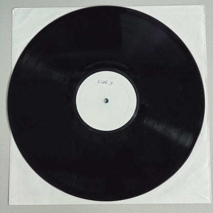 Grateful Dead - Palais de Seine 1974 Vol 1 - Purple Writing