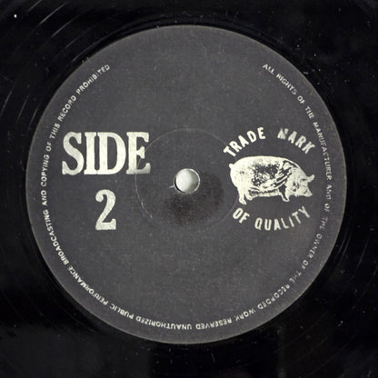 Led Zeppelin - Going To California - Multicolor