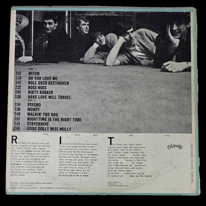 The Sonics - Here Are The Sonics!!! – 1965 US Mono Original LP Etiquette – VG-/VG
