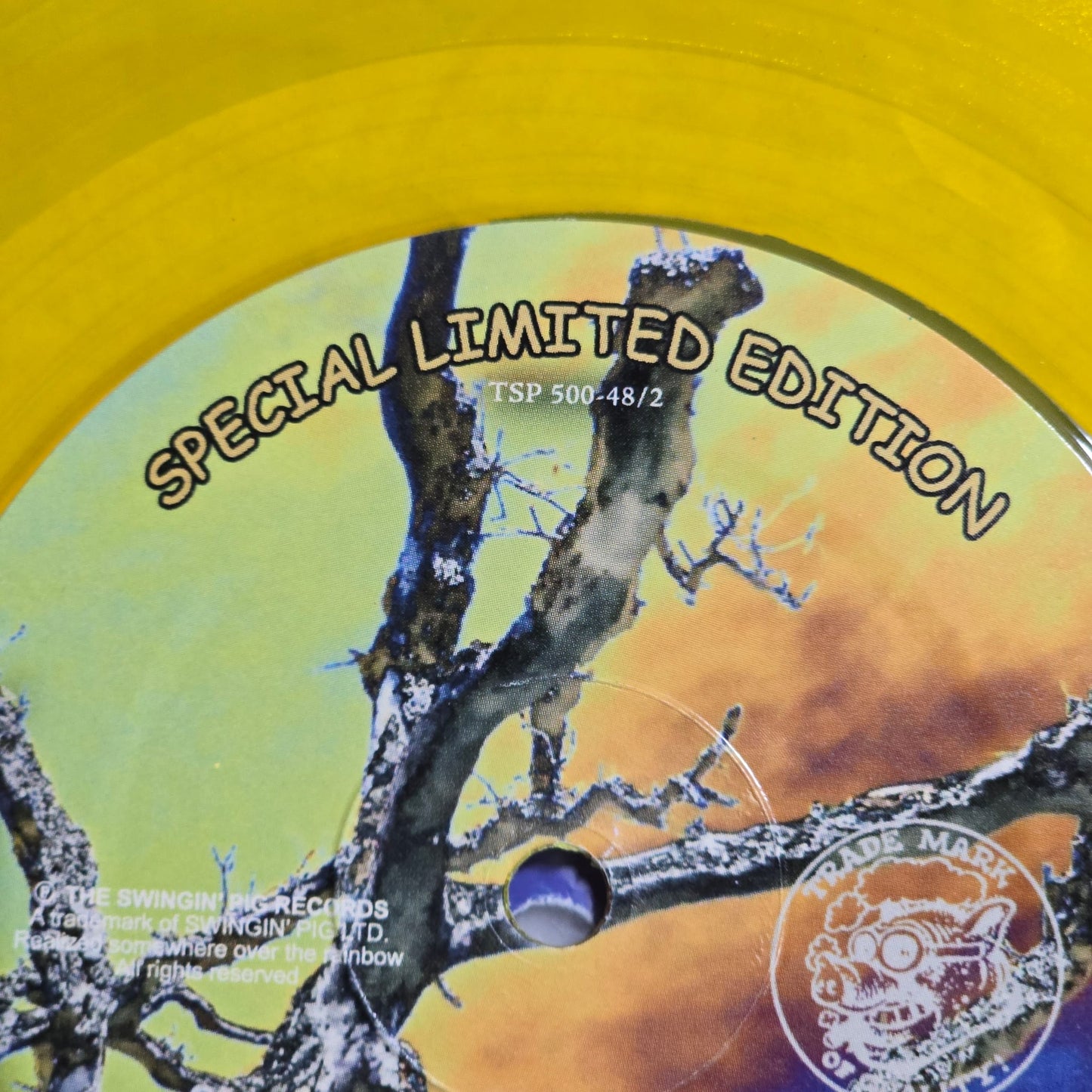 Pink Floyd - Atom Heart Sheffield - Translucent Yellow - PART 2 of 2