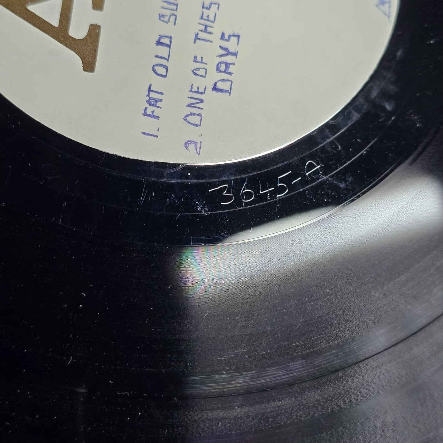 Pink Floyd - Floyd’s Of London - 1974 - Contra Band 3645 - US Mono - VG+ VG++