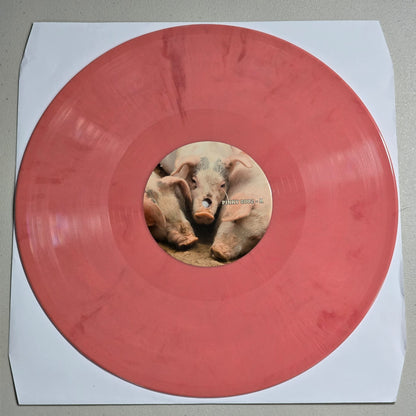 Pink Floyd - Grooving With The Pink - 3 LP Pink