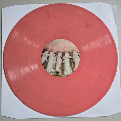 Pink Floyd - Grooving With The Pink - 3 LP Pink