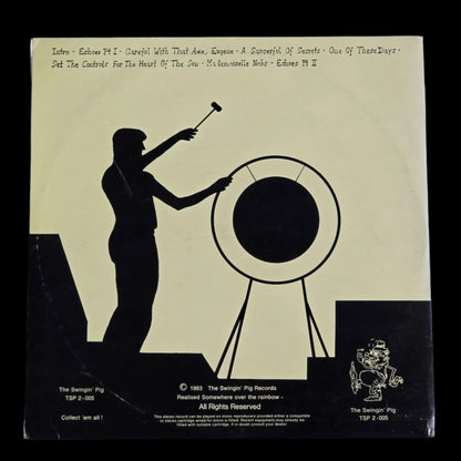 Pink Floyd- One of These Days Live in Pompejii - 2 LP Blue/Green