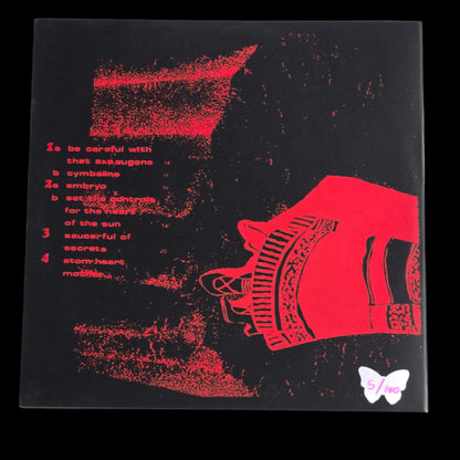 Pink Floyd - Stop Big Pink Live - 2 LP Multi Splatter