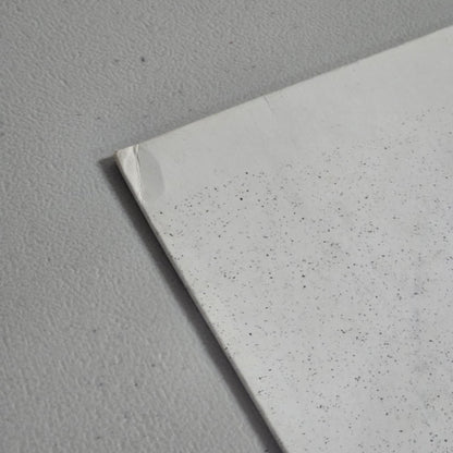 Pink Floyd - Fillmore West - 1983 - The Swingin’ Pig TSP 010 - Germany Stereo - NM VG+