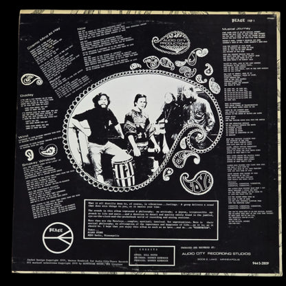The Paisleys - Cosmic Mind At Play - 1970 OG